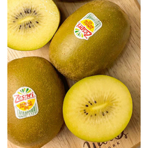 글로벌 제스프리 썬 골드키위 왕점보 20개, 상세페이지 참조