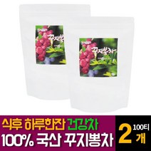 뉴트로웨이 꾸지뽕차 국내산 100% 구찌뽕 잎차 구수한 환절기 가을겨울 카페인없는 티백 추천, 100티백 2개