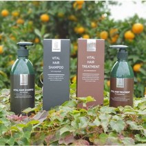 1+1모가나 샴푸 특허 탈모 방지 조성물로 특허 받은 약산성 두피 케어 천연 계면 활성제 친환경 제품입니다, 모가나 바이탈헤어 샴푸