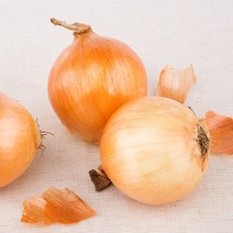 단단한 햇 양파 3kg 랜덤과, 단품