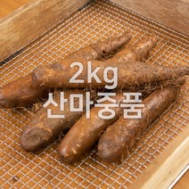 태산농장 마 안동마, 1개, 2kg (산마 중품)