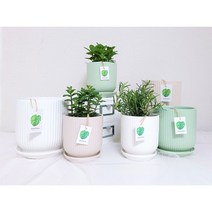 민트화분 핑크화분 화분 빈 분갈이 화이트 빈티지 세라믹