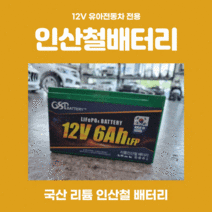 유아 전동차 리튬 인산철 배터리 대호토이즈 파파야나인 헤네스, 12v6ah배터리