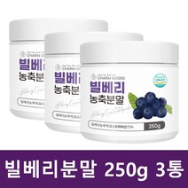 빌베리 분말 가루 야생 블루베리 폴리페놀 250g 3통
