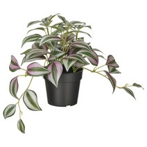 이케아 페이카인조식물 실내외겸용 자주달개비9cm /조화