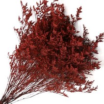 미스티블루 레드 프리져버드 한다발