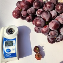 [다이아엘]캔디하트포도 코튼캔디포도 칠레포도 20brix이상, 1팩800g, 1개