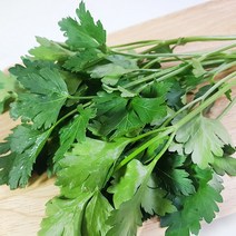 이태리파슬리 250g 이탈리안 파슬리 prezzemolo 향신료, 단품