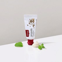 [레드씰] 뉴질랜드 프로폴리스 치약 20g, 단품