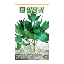 [다농] 일당귀씨앗 3g[VG], 상세 설명 참조