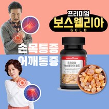 관절연골엔 보스웰리아골드 1 000mg 손목에좋은 보스웰리아추출물 유항 연골영양제, 3통(6개월 분량)