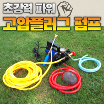 이동형 고압 양수기 펌프 12V48V60V220 볼트 고전압 농업용 전기 분무기 농약 제초제 살충제 방제 방역 살포기, 60V 플런저 펌프10 미터 고압 튜브