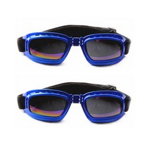 오픈런 이거 하나씩은 다 있지 댕댕이 썬글라스 고글 2개, 사각, 블루