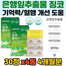 플라보놀 셀렌 철 은행잎추출 코엔자임Q 해조칼슘 철 징코 비타민 아연 나이아신 판토텐산 흑마늘 울금 영지버섯 추출분말 엽산 칼슘