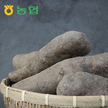 삼촌밥먹자 북안동농협 국산 안동 산마(상) 3kg/5kg, 산마 (상)5kg