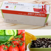 베란다 미니 텃밭 세트 방울토마토 오이 키우기 채소 관찰 키트 식물 재배 화분 가꾸기, 단품