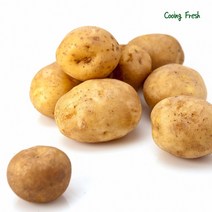 쿠잉Fresh 수미감자 햇감자 강원도 국내산 감자 3 5 10kg 중 대 특 왕특, 쿠잉Fresh 감자 대 10kg(찜용)