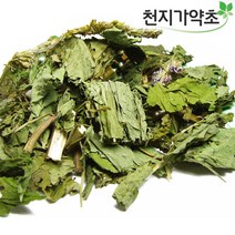 (롯데택배발송) 국산 배초향 곽향 600g 방앗잎