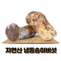 자연산 냉동 송이버섯 백두산 티베트 500g 1kg, 2품, 2개