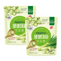 해표 리얼슬라이스 동결건조 국산 생생 대파 20g 2팩, 2개, 단품