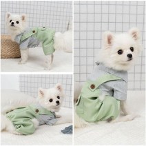 그린 강아지멜빵 스트라이프 올인원 애견의류 셔츠 내복 봄옷 토이푸들옷 오버롤 가을옷 외출복, S