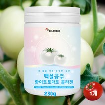 화이트토마토 피쉬콜라겐 피부 얼굴 하얘지는법 먹는 엘라스틴 히알루산 유산균 분말 가루 종합피부관리 230g, 1개