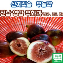 영암2kg1kg열매무화과달콤한 로켓배송 상품 모아보기