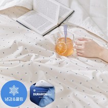 [파르페by알레르망] 루밍 알러지케어 냉감 여름차렵이불 SSS