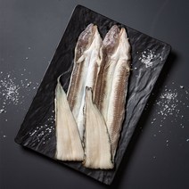 경남 통영 자연산 붕장어 대장어 1kg, 1개