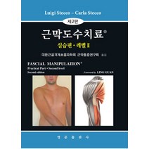 근막도수치료 실습편 레벨2, Luigi Stecco,Carla Stecco 공..., 영문출판사