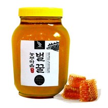 대한민국농수산 청정 산청 100% 아카시아꿀 1.2kg, 2.4kg, 100%아카시아꿀, 1개
