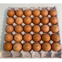 [10판] 신선하고 안전한 농장직송 계란 - 식당 및 베이커리 배달(김포 검단 청라 서울), 김포, 특란, 10개