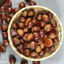 알밤 햇밤 밤 칼집밤 부여 생밤 생율 약단밤 공주 제사 제수 1kg 2kg 4kg, 일반 3kg, 1개