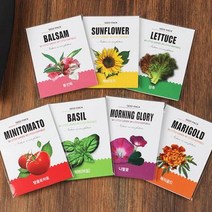 꿈쟁이 1종 씨앗봉투 4종 메리골드, 1개