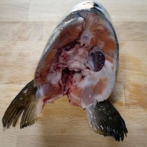 노르웨이산 신선 연어 머리 /구이 조림 매운탕, 250~350g 내외, 6개