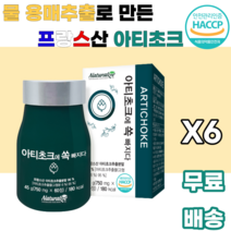아티초크 추출분말 ARTICHOKE 프랑스산 유기농 물용매추출 귀족채소 진공농축 저온살균 스프레이건조 남녀노소 누구나 먹기편한 여성 여자 학생 대학생 여대생 부모님 꽃봉우리, 6박스, 60정