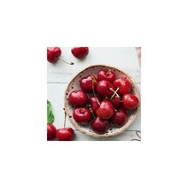 영화청과 특급 수입산 체리 500g 바이오 판매 종류