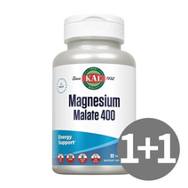 KAL 칼 마그네슘 말레이트 400mg 90정 2개