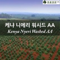 (커피생두) 2022년 뉴크롭 케냐 니에리 워시드 AA, 1kg