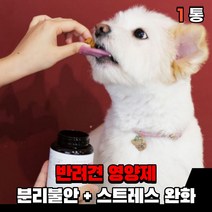 강아지 스트레스 영양제 분리불안 안정영양제 완화제 불안증세 분리 불안 해소제 추천 애견 반려견 소형견 대형견 영양제, 스트레스 + 분리불안(1통)