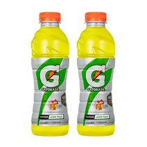 게토레이 레몬 600ml x 20개 펫 이온음료, 1개