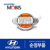 그랜저TG 순정 라디에이터 캡 뚜껑 (2005-2006.10)