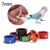 7mm 퀘이커 썬코뉴어 발목링1P(오픈형) 그린칙코뉴어 앵무새 암수 혈통 구분 오픈링