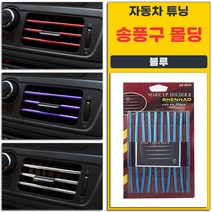 자동차 튜닝 송풍구 몰딩 20cm 10p 1세트 블루