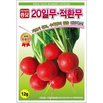 A-20일무적환무 12g 채소 종자
