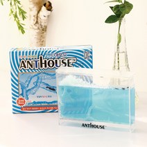 [메탈투어] 신나는 개미탐험 앤트하우스 관찰 과학탐구