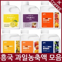 흥국농축액 흥국농축에이드 자몽 청포도 블루베리 레몬외, 흥국FnB 오렌지농축액 플러스