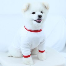 럭키페터 링거 강아지 옷 소형견 대형견 티셔츠 화이트 시리즈, 화이트/레드