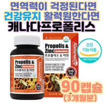 플라보노이드 활성산소제거 도움 면역력높이는영양제 프로폴리스 건강식품 항산화 폴라노이드 노년층 시니어 실버 기침멈추눈법 잇몸이아플때 잠잘때코막힘 구강소독제 입냄새제거 로얄제리