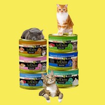 아보덤 주식캔 고양이 습식사료 그레인프리 85g, 참치&치킨